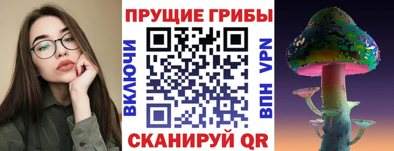цены   Болохово  даркнет официальный сайт  Псилоцибиновые грибы GOLDEN TEACHER  MEGA ССЫЛКА 
