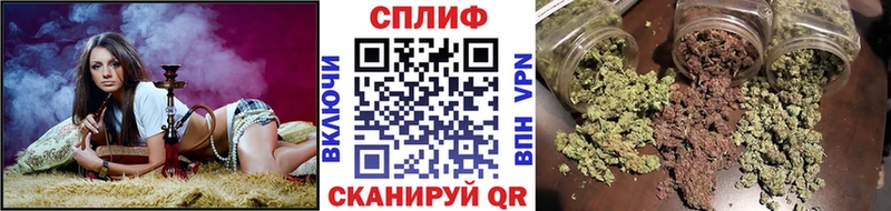 Каннабис AK-47  Болохово 